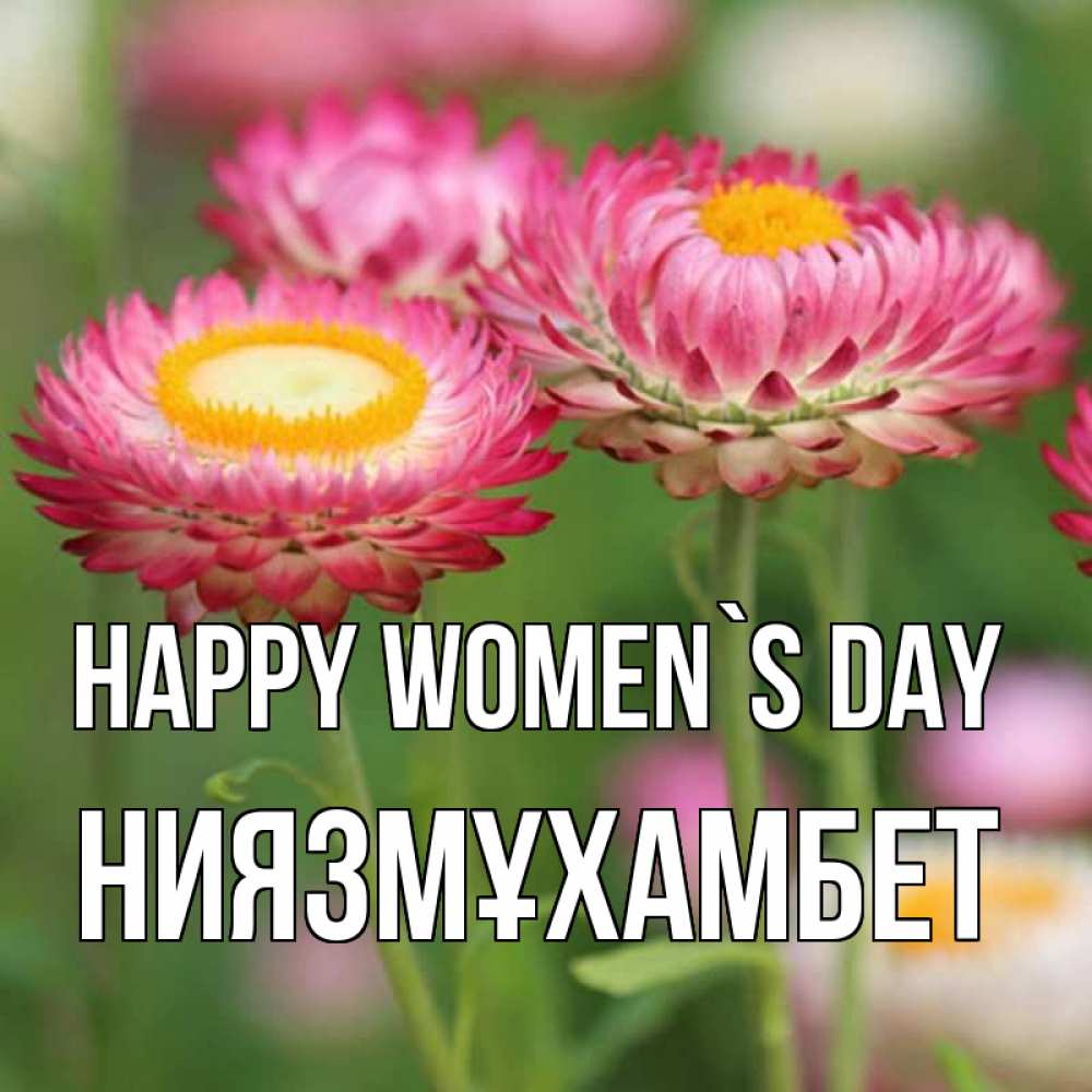 Greetings card с именем, НИЯЗМҰХАМБЕТ happy women`s day подарок на международный женский день Greetings with text for free download 